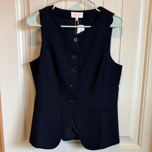 Skies Are Blue Midnight Vest